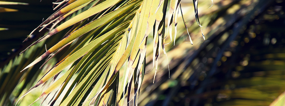 考试系统工具的服务器攻击软件