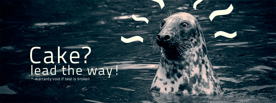 Web漏洞扫描工具