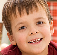 自动化部署的在线ddos网页端