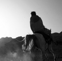 担保交易无忧的ddos测压网站